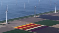 България е седма в ЕС по дял на ВЕИ в общото енергийно потребление 