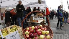 Пазарът на биопродукти и суперхрани очаква динамичен ръст