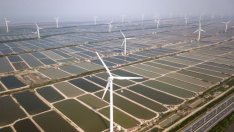 Китай може да увеличи капацитета си на възобновяема енергия с 52% през 2020 г.