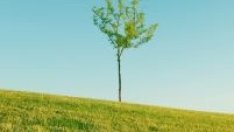 Земята – единственият актив от пазара на имоти у нас, който расте в кризата