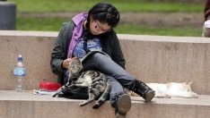 Расте броят на чуждестранните студенти в българските университети