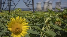 МАЕ: Светът е изправен пред нова ера за ядрената енергетика