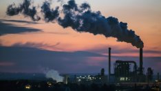 Германското производство се разшири с 0,6% през януари