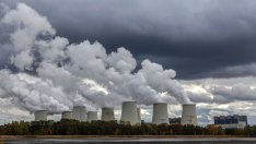 Търговията с въглеродни кредити се нуждае от поправяне