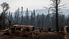 България е с най-малки икономически загуби в ЕС от климатичните промени през 2020 г.