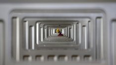 Ръстът на средната продължителност на живота се отразява на работната сила