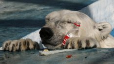 Планетата произвежда по милион пластмасови бутилки в минута