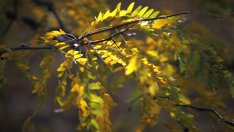 Екоинспекцията в Пловдив установи нарушения на кариерата в Белащица