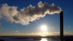 Зеленият билет и миенето на улиците не са достатъчни мерки, посочи Лорита Радева