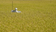 САЩ и Европа да се готвят за нова съпротива от Ердоган