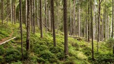 Зелените амбиции на Европа отново стигат твърде далеч