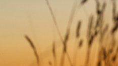 Летим ли наистина евтино с нискобюджетните авиокомпании?