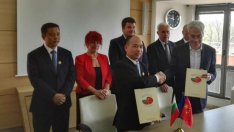 Китайски инвеститори изграждат логистичен мегапроект край Пловдив