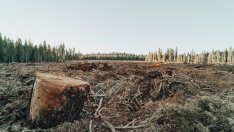 Банките остават "слепи" за природните рискове върху портфейлите си