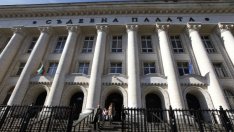 Р. Арнаудова: Осем години концесионерът в Пирин е ползвал с 65 хектара повече