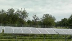 Зелената енергия - бизнес с принос за обществото