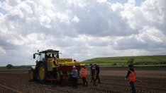 За 4 години броят на работещите мигранти по света е нараснал с 9% до 164 млн. души