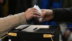 Зли кокошки и двуопашати кучета - най-странните партии на евроизборите