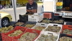 Цените на храните на едро почти без промяна в средата на октомври