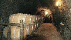 България е интересна за авантюристично настроените винени туристи