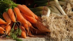 Около 100 млн. лв. е оборотът от биопродукти годишно