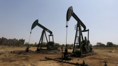 Заплаха за стабилността ли е евтиният петрол?