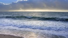 Възползваха ли се туристическите компании от „непредвиденото“ търсене?