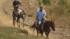 Лято в планината... на коне