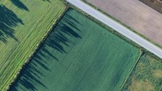 Започва онлайн преброяването на земеделските стопанства в България