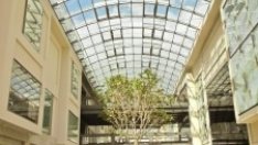 Специалист: Моловете не са мъртви