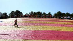 Каталунските сепаратисти внесоха проект за преходна конституция след референдума