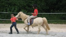 Пет организации са против преместването на конната база от Борисовата градина