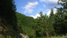 До 5 години може да се изгради скоростният път Русе-Свиленград