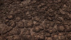 Трябва да инвестираме повече в климатична адаптация