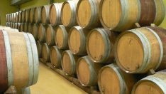 Започва прием на заявления по новата мярка за инвестиции във винарските изби