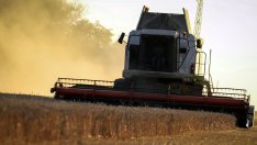 Средната цена на нивите у нас миналата година е нараснала до малко над 1600 лв. на декар