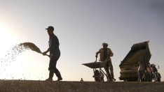 Безработицата намалява до 5,6% през август