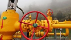 Morgan Stanley: Китай търси начин да ограничи зависимостта си от вноса на петрол