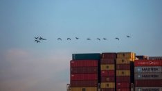 Как бюрокрацията заради войната в Украйна парализира търговското сърце на Европа