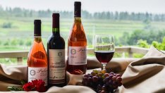 Винената индустрия в Германия изпитва затруднения заради липсата на... бутилки