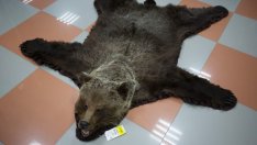 Европа трябва да прогледне за руската заплаха