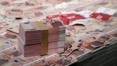 Проф. Христина Вучева: Не е ясно защо да излизаме на международния пазар