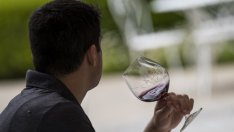 Инвеститорите в акции трябва да вдигнат наздравица за ниските лихви