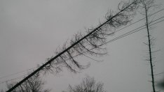 Електроразпределителните дружества са изправени пред нови предизвикателства