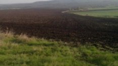 Реална ли е цена на земята от 2 000 лв./дка в Северна България без Добруджа?