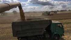 Защо украинската икономика не се срина с над 30%?