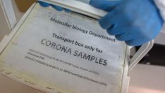 СЗО отхвърли теорията за лабораторен произход на коронавируса