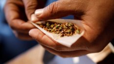 Европа ли е следващият голям пазар на марихуана?