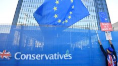 Йошка Фишер: Британците избраха миналото 