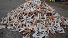 Доброволци почистиха Централния плаж във Варна